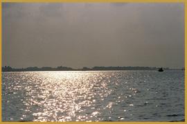 Backwaters
