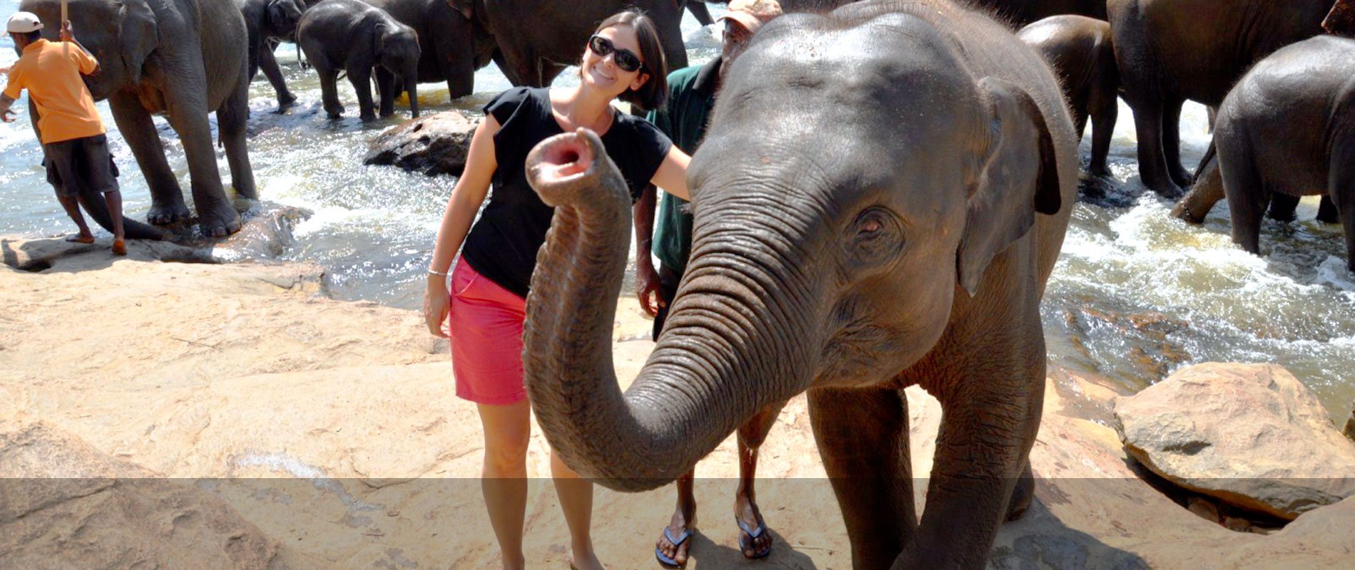 pinnawala elephant orphanage, srilanka